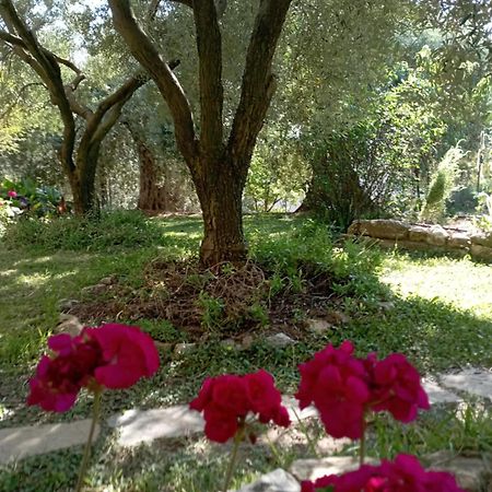 Villa Relax Skála Kallirákhis エクステリア 写真